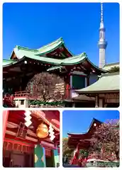 亀戸天神社(東京都)