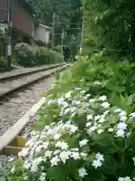 御霊神社の周辺