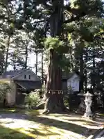 八幡宮の自然