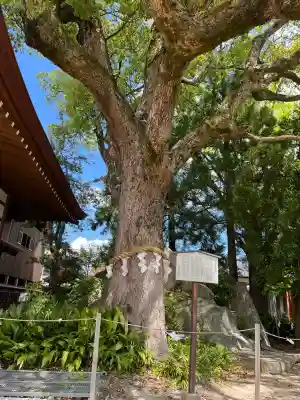 和貴宮神社(京都府)