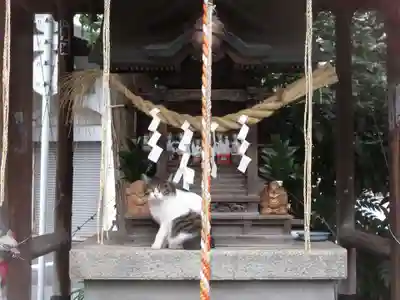 草分稲荷神社の動物