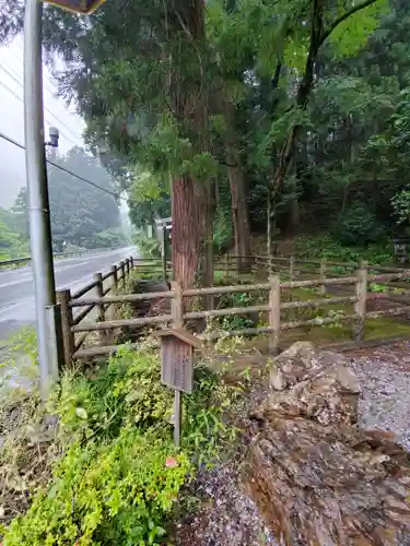 賀蘇山神社の自然