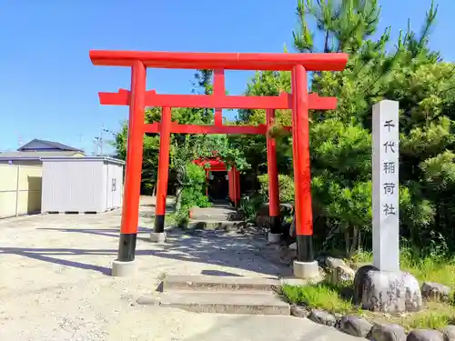千代稲荷社の鳥居