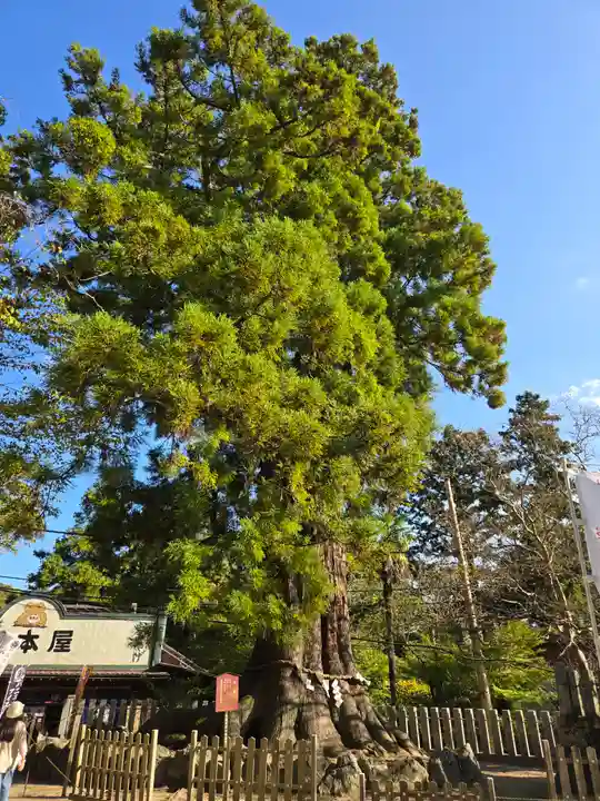 筑波山神社(茨城県)