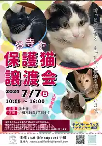 極楽山 浄土寺(北海道)(2024年06月16日(日) 20時57分34秒投稿)