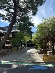 猿田彦神社(東京都)