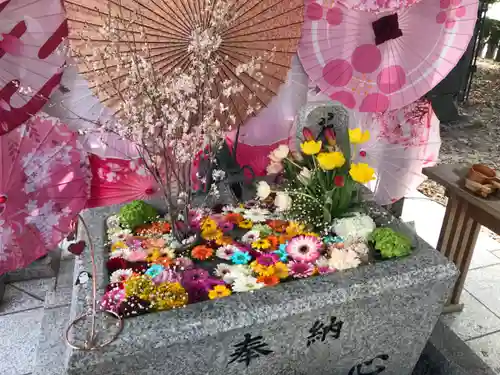 札幌諏訪神社の手水