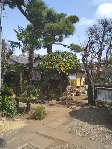 仙藏院(東京都)