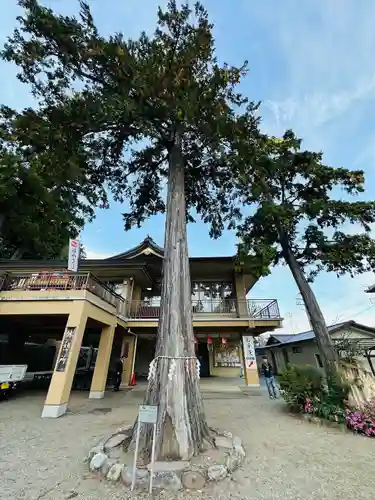 高麗神社(埼玉県)