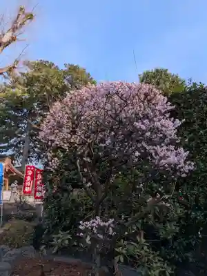 中野沼袋氷川神社(東京都)