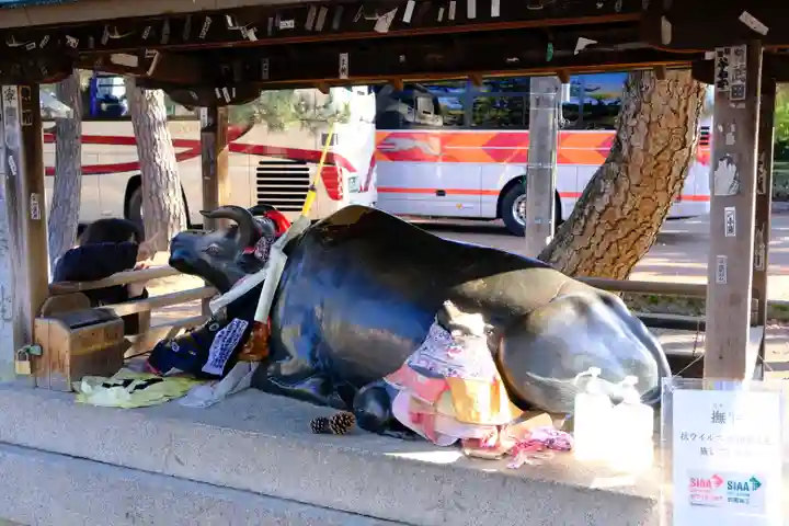 北野天満宮の狛犬