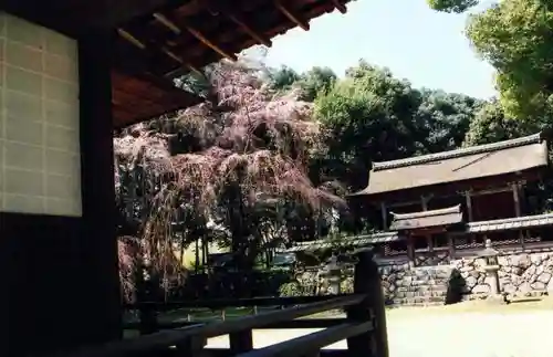 醍醐寺の建物その他