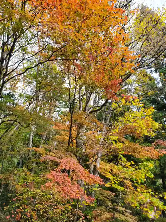 土津神社|こどもと出世の神さま(福島県)