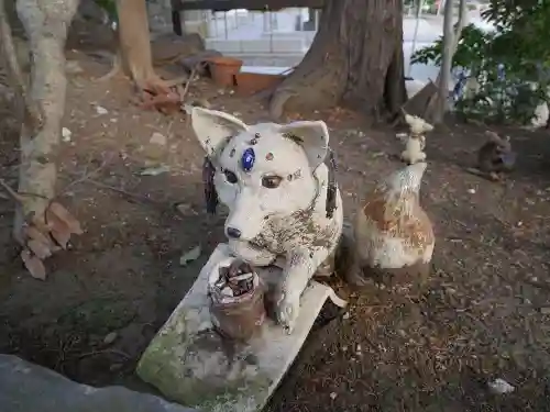 北澤八幡神社の狛犬