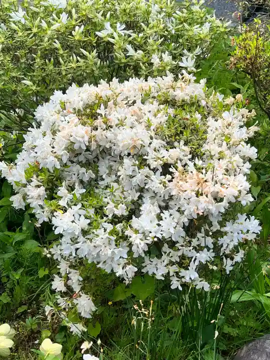 子安地蔵寺の{uncategorized: "未分類", other: "その他", undefined: "問題あり", building: "その他建物", grave: "お墓", sacred_gate: "鳥居", guardian: "狛犬", statue: "像", buddha: "仏像", history: "歴史", nature: "自然", garden: "庭園", animal: "動物", pagoda: "塔", temizu: "手水舎", mountain_gate: "山門・神門", sanctuary: "本殿・本堂", subordinate: "末社・摂社", art: "芸術", scenery: "景色", jizo: "地蔵", ema: "絵馬", goshuin: "御朱印", omikuji: "おみくじ", items: "授与品その他", amulet: "お守り", goshuincho: "御朱印帳", eats: "食事", festival: "お祭り", votive_dance: "神楽", shichigosan: "七五三参", wedding: "結婚式", experience: "体験その他", initially: "初詣", around: "周辺", anti_infection: "感染症対策"}