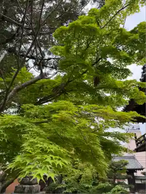 伊勢の国 四天王寺(三重県)