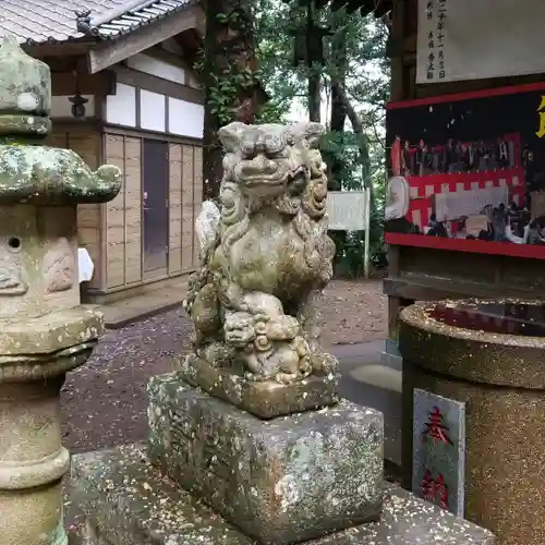 素鵞熊野神社の狛犬