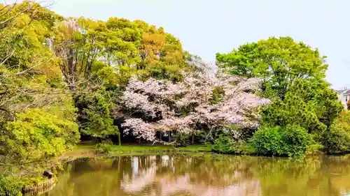 菊田神社の景色
