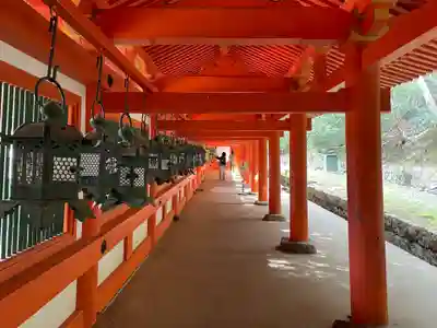 春日大社(奈良県)