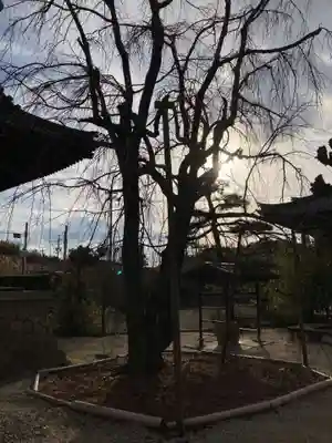 信明寺(三重県)