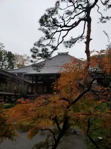 妙法寺(東京都)