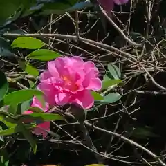 鹿島大神宮(福島県)