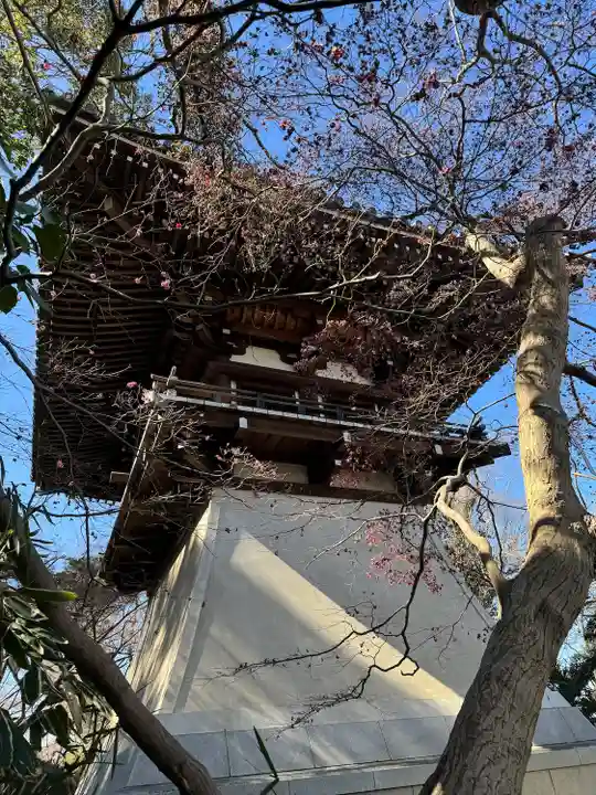 高幡不動尊 金剛寺(東京都)