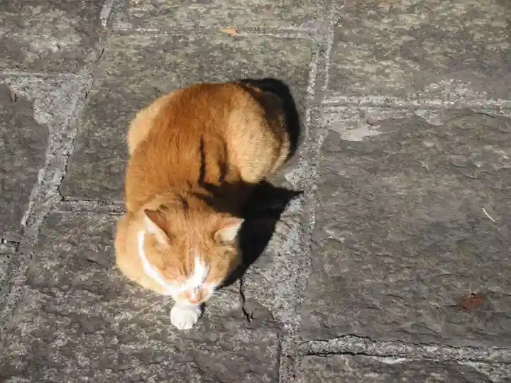 妙建山本立寺(東京都)