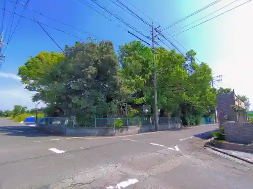 春日社（野崎）の自然