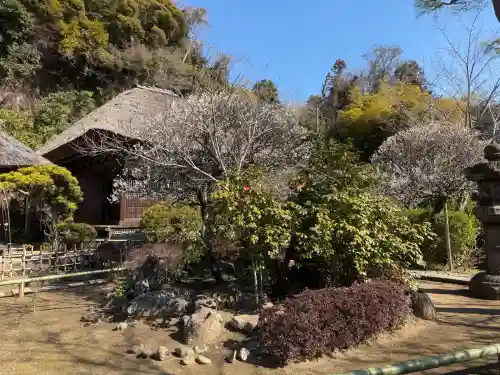 明王院の{uncategorized: "未分類", other: "その他", undefined: "問題あり", building: "その他建物", grave: "お墓", sacred_gate: "鳥居", guardian: "狛犬", statue: "像", buddha: "仏像", history: "歴史", nature: "自然", garden: "庭園", animal: "動物", pagoda: "塔", temizu: "手水舎", mountain_gate: "山門・神門", sanctuary: "本殿・本堂", subordinate: "末社・摂社", art: "芸術", scenery: "景色", jizo: "地蔵", ema: "絵馬", goshuin: "御朱印", omikuji: "おみくじ", items: "授与品その他", amulet: "お守り", goshuincho: "御朱印帳", eats: "食事", festival: "お祭り", votive_dance: "神楽", shichigosan: "七五三参", wedding: "結婚式", experience: "体験その他", initially: "初詣", around: "周辺", anti_infection: "感染症対策"}
