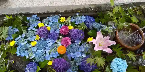 札幌護國神社の手水