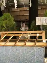 東京大神宮の手水