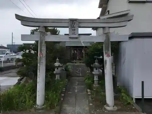 白山神社の鳥居