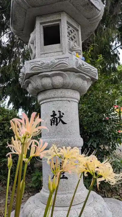 玉田神社(京都府)