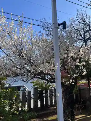 三谷八幡神社(東京都)