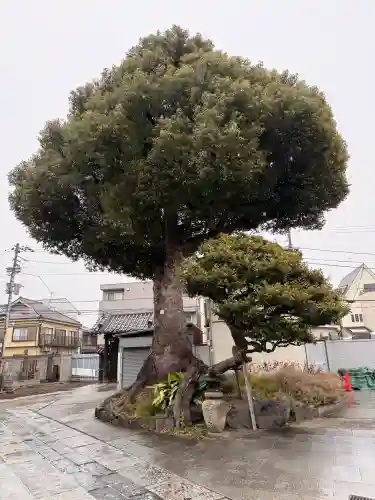 観音寺の{uncategorized: "未分類", other: "その他", undefined: "問題あり", building: "その他建物", grave: "お墓", sacred_gate: "鳥居", guardian: "狛犬", statue: "像", buddha: "仏像", history: "歴史", nature: "自然", garden: "庭園", animal: "動物", pagoda: "塔", temizu: "手水舎", mountain_gate: "山門・神門", sanctuary: "本殿・本堂", subordinate: "末社・摂社", art: "芸術", scenery: "景色", jizo: "地蔵", ema: "絵馬", goshuin: "御朱印", omikuji: "おみくじ", items: "授与品その他", amulet: "お守り", goshuincho: "御朱印帳", eats: "食事", festival: "お祭り", votive_dance: "神楽", shichigosan: "七五三参", wedding: "結婚式", experience: "体験その他", initially: "初詣", around: "周辺", anti_infection: "感染症対策"}