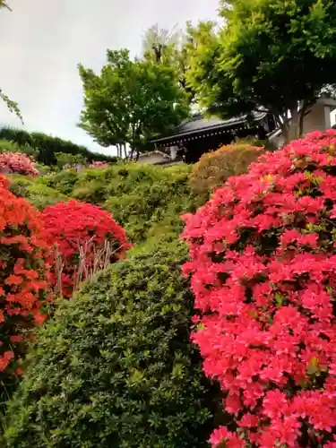神足寺(東京都)