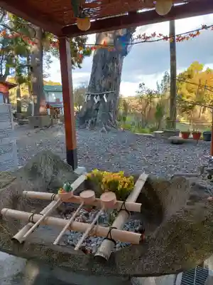 阿久津「田村神社」（郡山市阿久津町）旧社名：伊豆箱根三嶋三社(福島県)