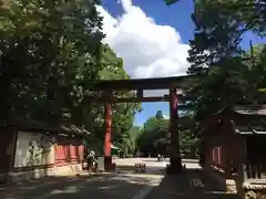 武蔵一宮氷川神社の鳥居