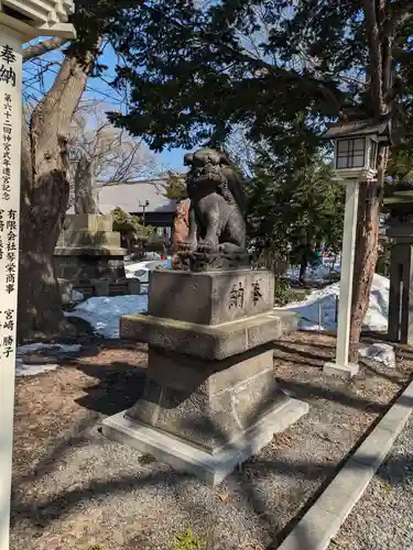 新琴似神社の狛犬