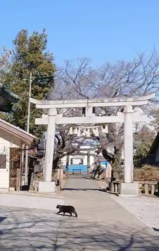 前玉神社の鳥居