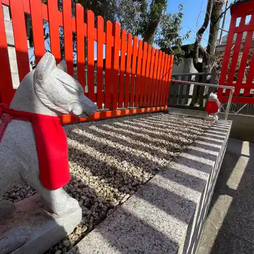 馬橋稲荷神社の狛犬