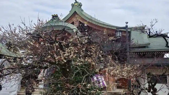 北野天満宮の自然