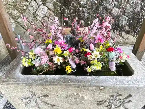 櫻神社(滋賀県)