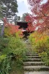 常寂光寺(京都府)