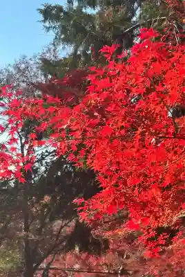 毘沙門堂門跡(京都府)