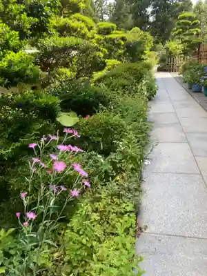 松嶺院(神奈川県)
