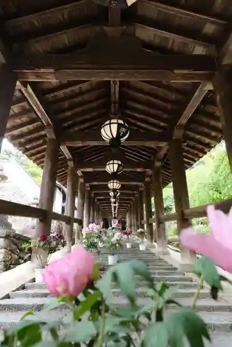 長谷寺(奈良県)