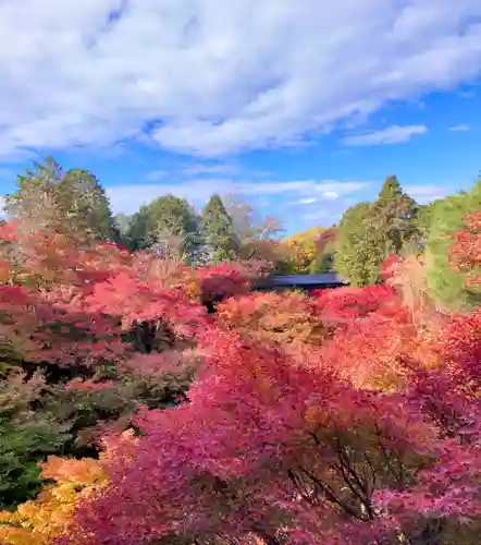 東福禅寺（東福寺）(京都府)