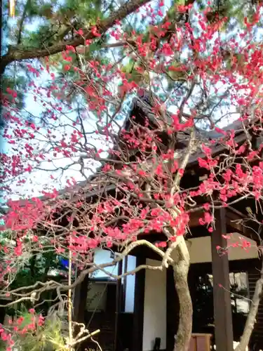 玄国寺(東京都)